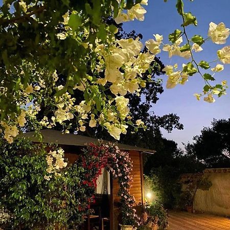 B&B Il Girasole Sant'Anna Arresi Ngoại thất bức ảnh