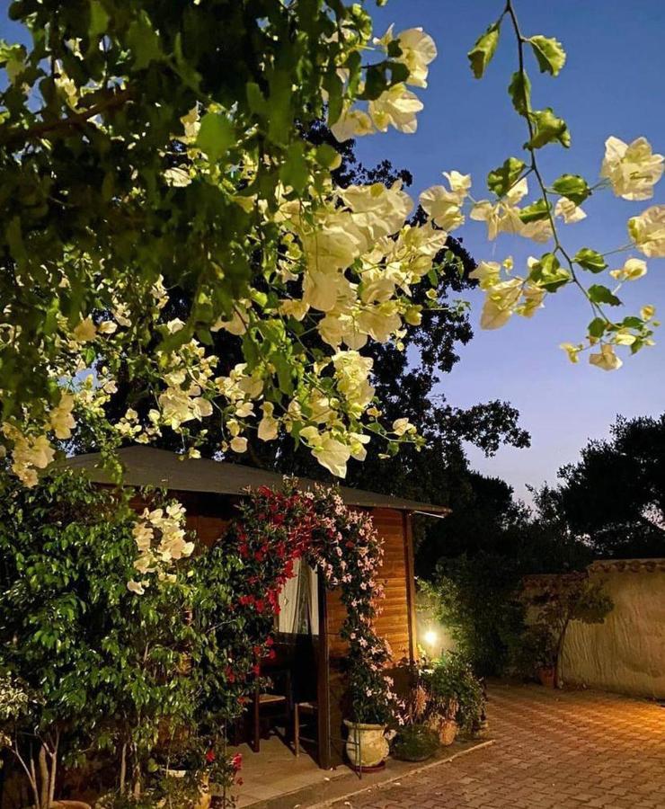B&B Il Girasole Sant'Anna Arresi Ngoại thất bức ảnh