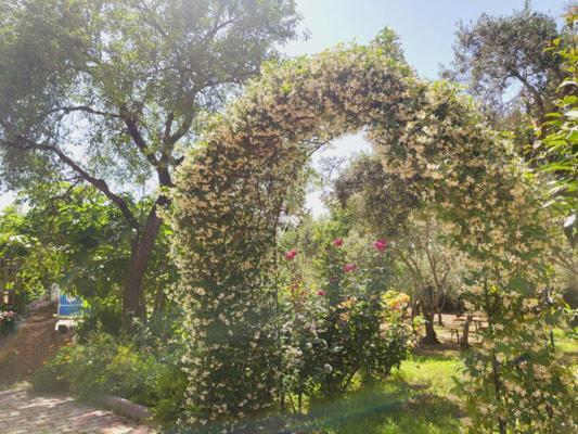 B&B Il Girasole Sant'Anna Arresi Ngoại thất bức ảnh